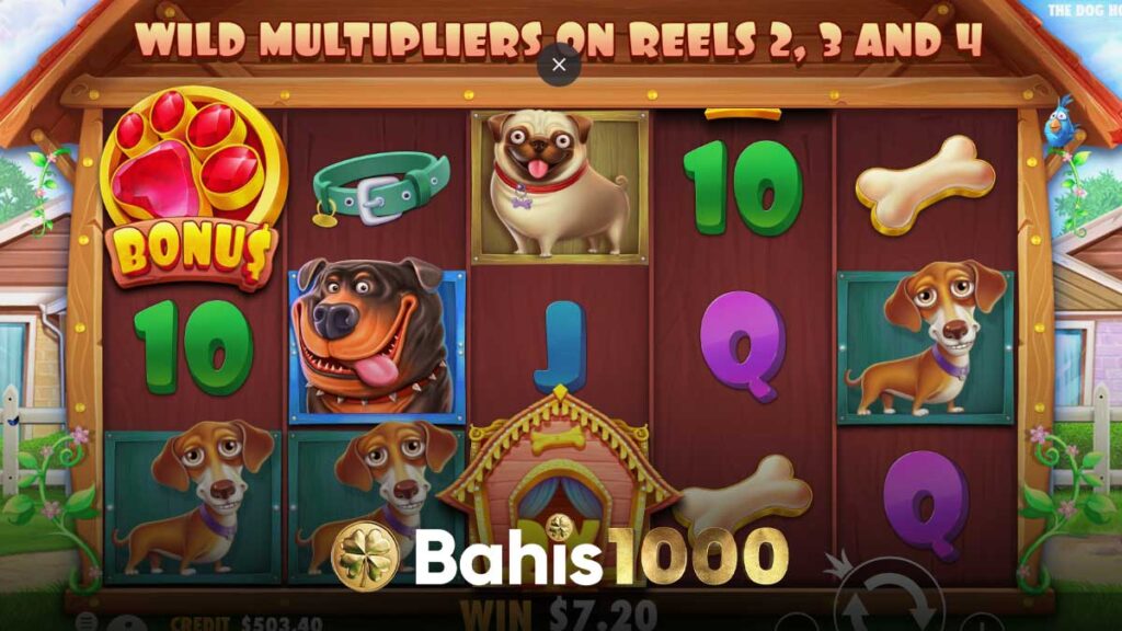 Bahis1000 The Dog House