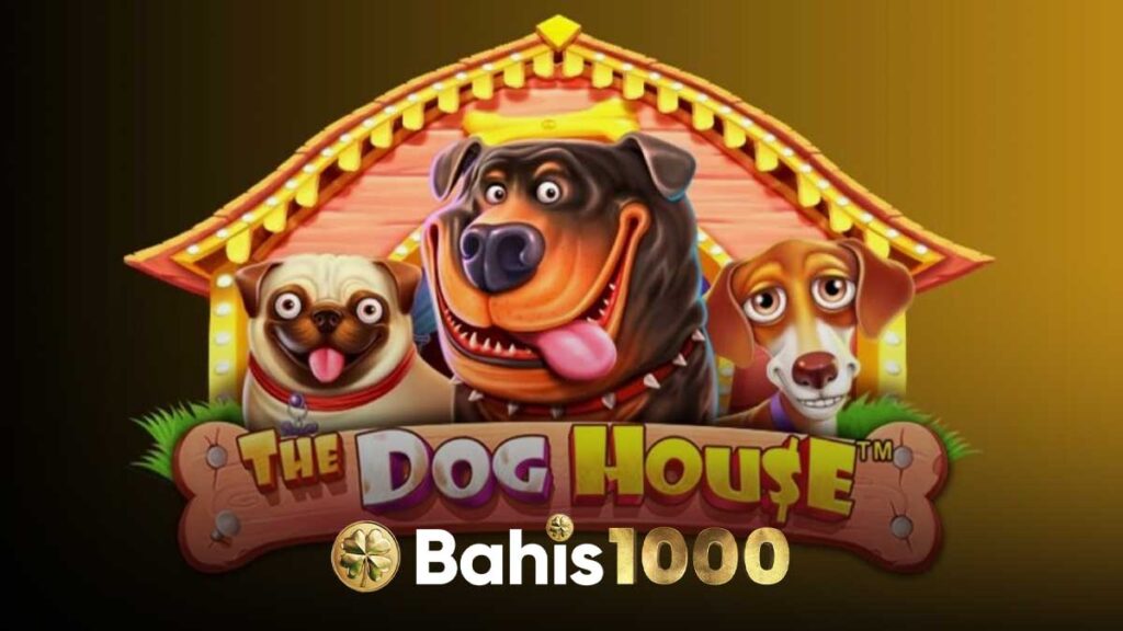 Bahis1000 The Dog House